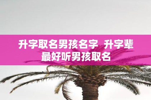 升字取名男孩名字 升字辈最好听男孩取名
