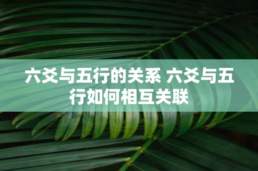 六爻与五行的关系 六爻与五行如何相互关联