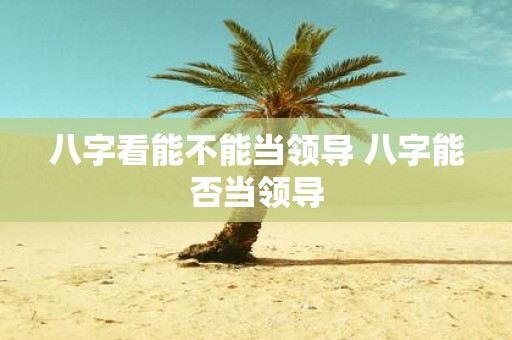 八字看能不能当领导 八字能否当领导