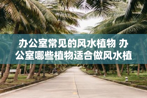 办公室常见的风水植物 办公室哪些植物适合做风水植物