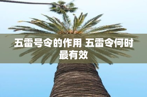五雷号令的作用 五雷令何时最有效