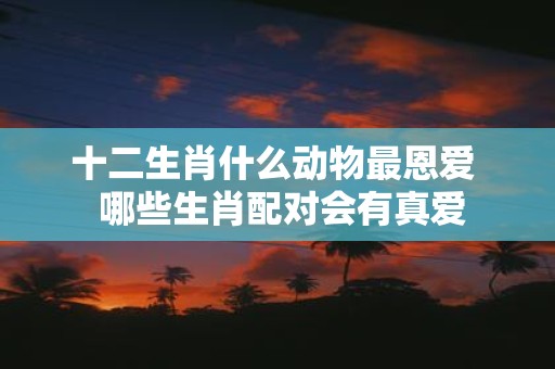 十二生肖什么动物最恩爱 哪些生肖配对会有真爱