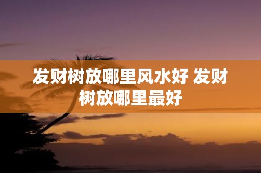 发财树放哪里风水好 发财树放哪里最好