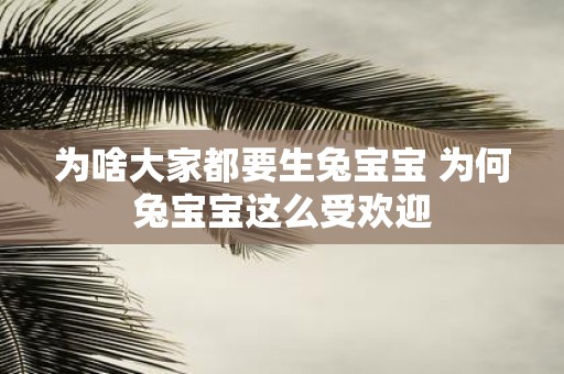 为啥大家都要生兔宝宝 为何兔宝宝这么受欢迎