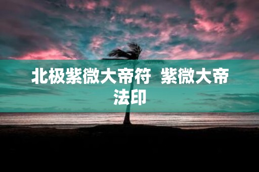 北极紫微大帝符 紫微大帝法印