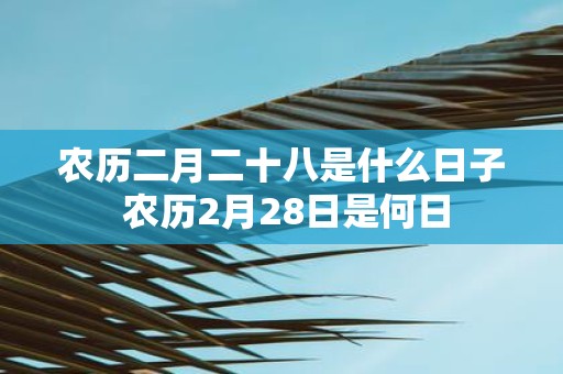 农历二月二十八是什么日子 农历2月28日是何日
