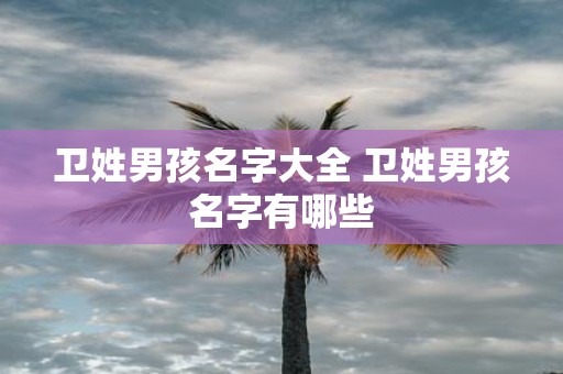 卫姓男孩名字大全 卫姓男孩名字有哪些