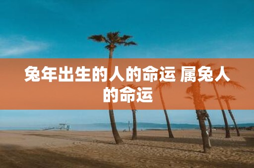 蛇年出生的人的命运 属兔人的命运
