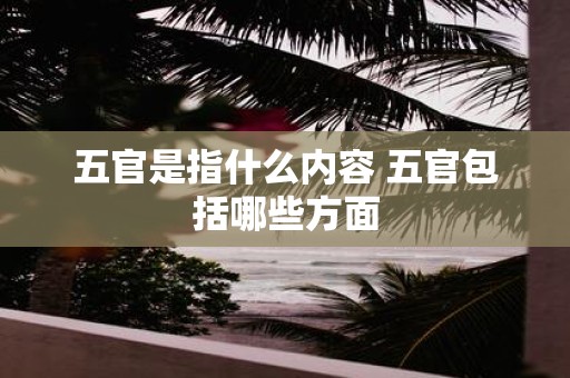 五官是指什么内容 五官包括哪些方面