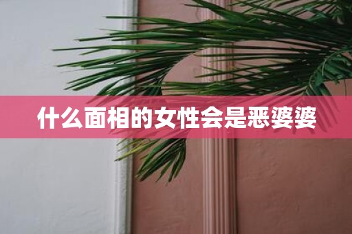 什么面相的女性会是恶婆婆