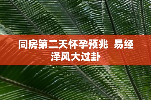同房第二天怀孕预兆 易经泽风大过卦