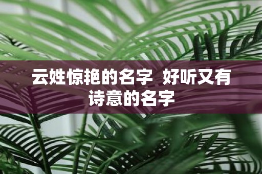 云姓惊艳的名字 好听又有诗意的名字