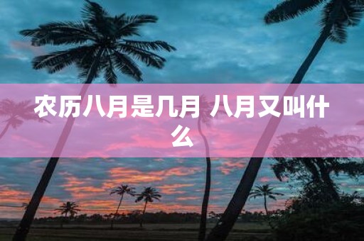 农历八月是几月 八月又叫什么