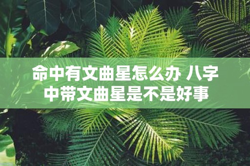 命中有文曲星怎么办 八字中带文曲星是不是好事
