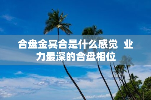 合盘金冥合是什么感觉 业力最深的合盘相位