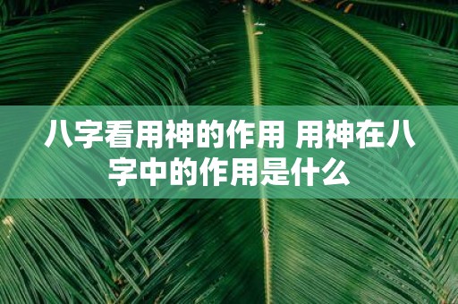 八字看用神的作用 用神在八字中的作用是什么