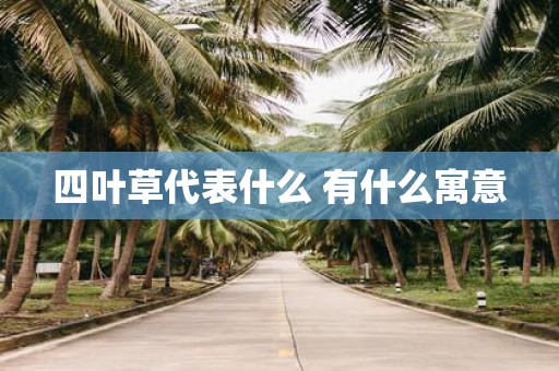 四叶草代表什么 有什么寓意