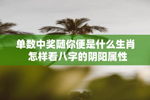 单数中奖随你便是什么生肖 怎样看八字的阴阳属性
