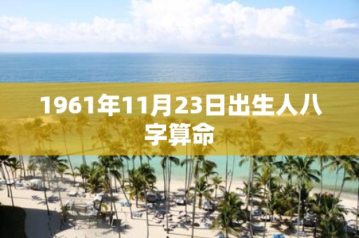 1961年11月23日出生人八字算命