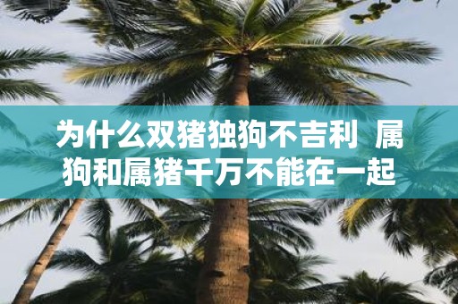 为什么双猪独狗不吉利  属狗和属猪千万不能在一起