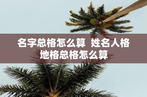 名字总格怎么算 姓名人格地格总格怎么算