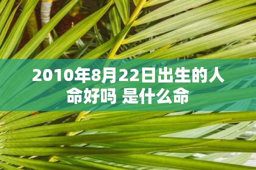 2010年8月22日出生的人命好吗 是什么命