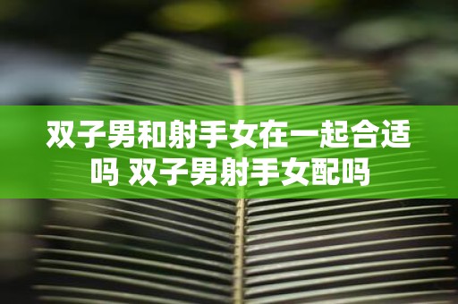 双子男和射手女在一起合适吗 双子男射手女配吗