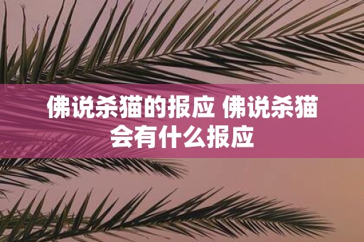 佛说杀猫的报应 佛说杀猫会有什么报应