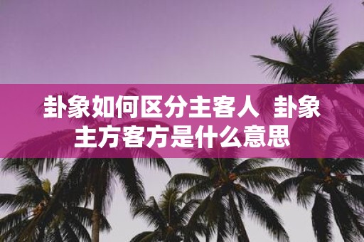 卦象如何区分主客人 卦象主方客方是什么意思