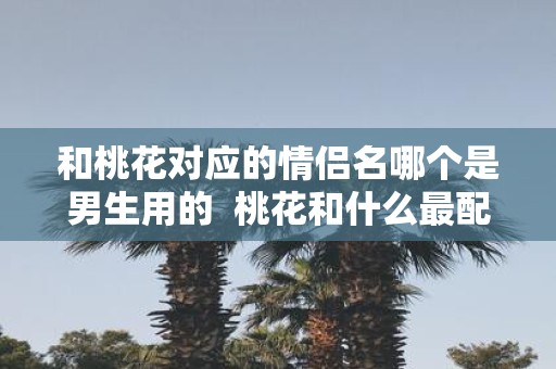 和桃花对应的情侣名哪个是男生用的 桃花和什么最配情侣名字 和桃花对应的情侣名哪个是男生用的 桃花和什么最配情侣名字