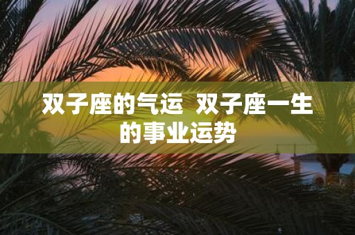 双子座的气运 双子座一生的事业运势