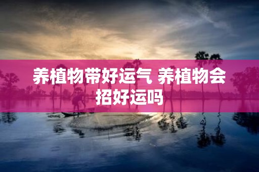 养植物带好运气 养植物会招好运吗