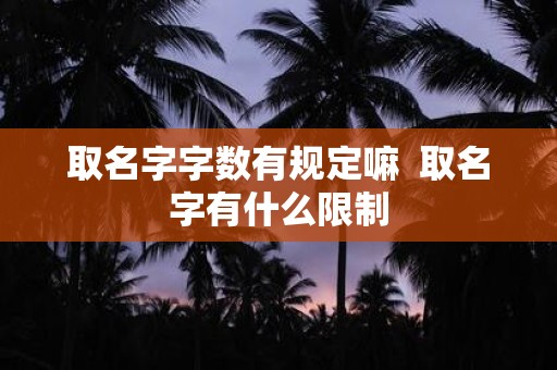 取名字字数有规定嘛 取名字有什么限制