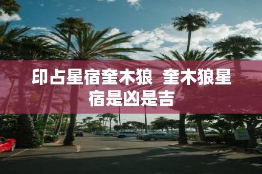 印占星宿奎木狼 奎木狼星宿是凶是吉