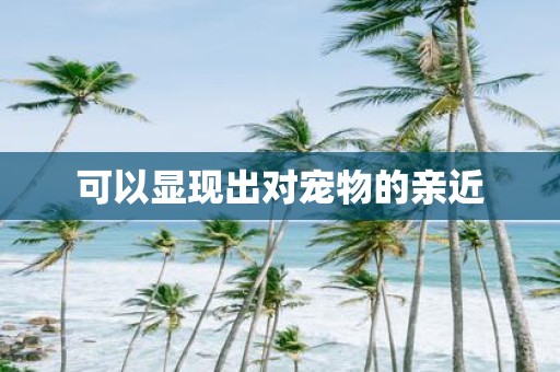 可以显现出对宠物的亲近