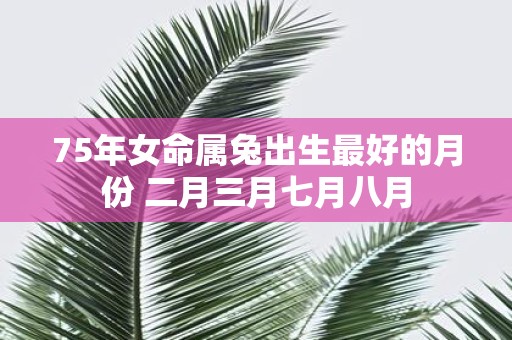 75年女命属兔出生最好的月份 二月三月七月八月