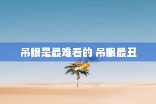 吊眼是最难看的 吊眼最丑