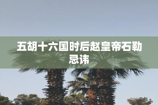 五胡十六国时后赵皇帝石勒忌讳