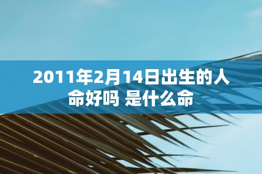 2011年2月14日出生的人命好吗 是什么命