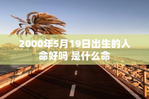 2000年5月19日出生的人命好吗 是什么命