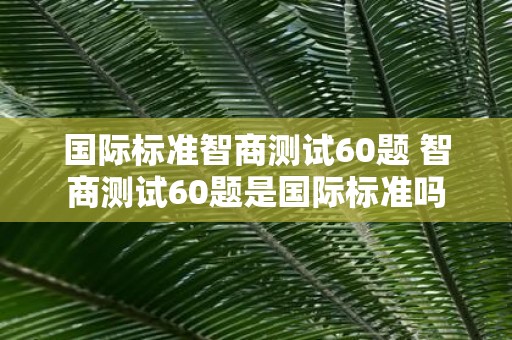国际标准智商测试60题 智商测试60题是国际标准吗