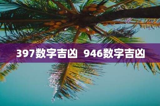 397数字吉凶 946数字吉凶