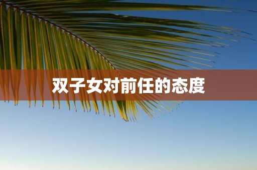 双子女对前任的态度