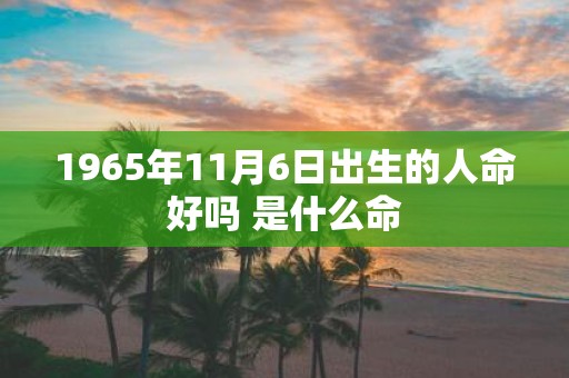 1965年11月6日出生的人命好吗 是什么命
