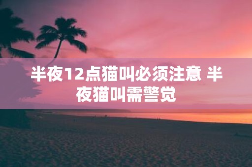 半夜12点猫叫必须注意 半夜猫叫需警觉