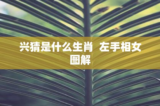 兴猜是什么生肖 左手相女图解