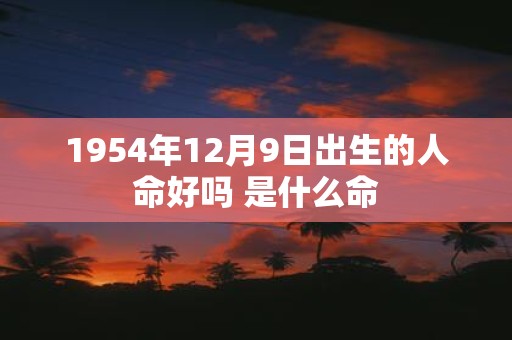 1954年12月9日出生的人命好吗 是什么命