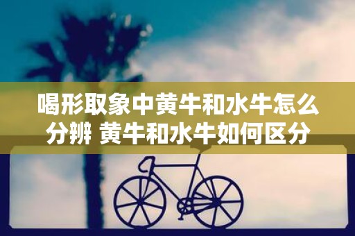 喝形取象中黄牛和水牛怎么分辨 黄牛和水牛如何区分