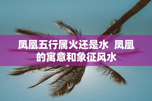 凤凰五行属火还是水 凤凰的寓意和象征风水