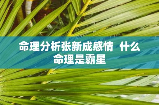 命理分析张新成感情 什么命理是霸星